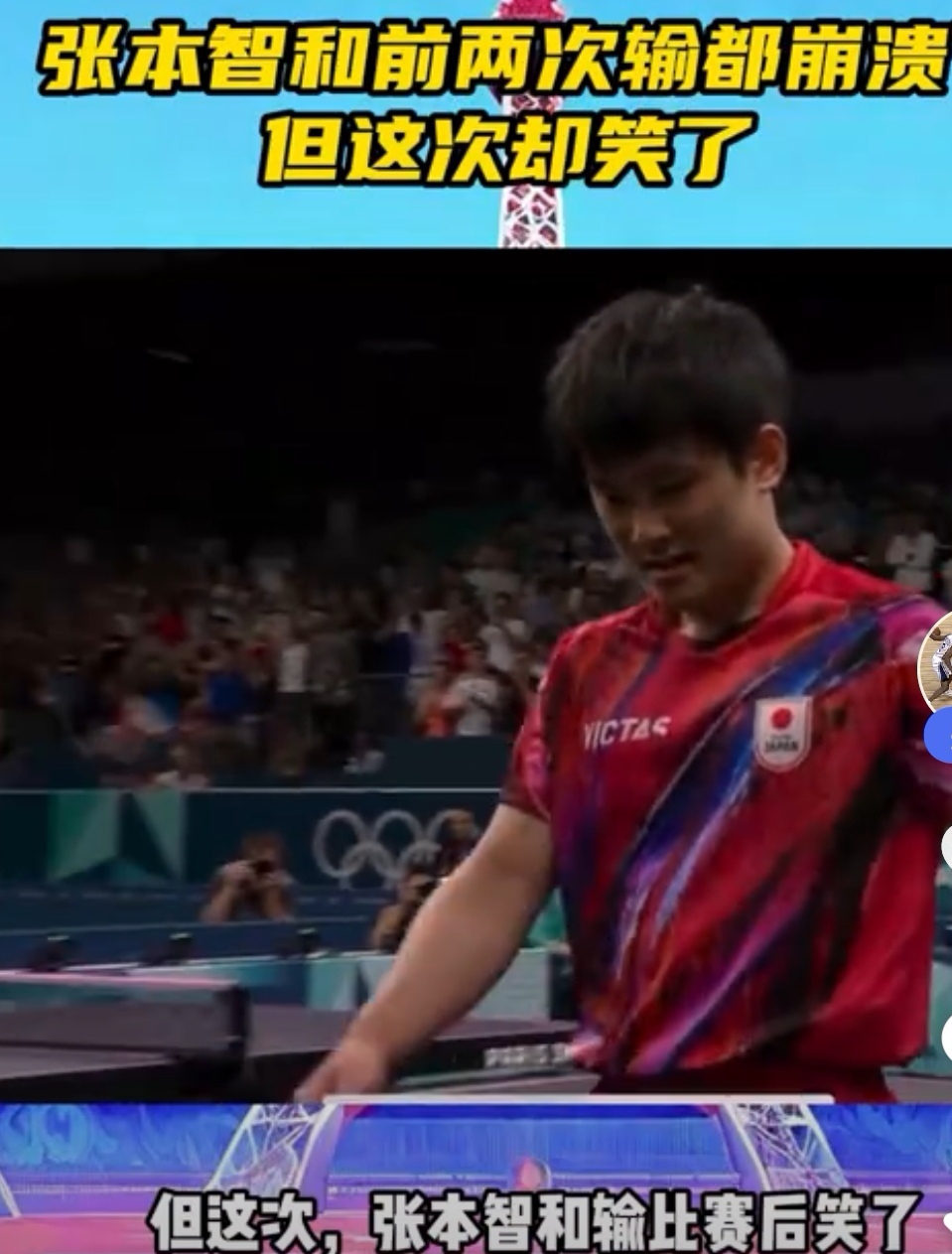 德国乒乓球队血洗法国乒乓球队，张本智和爆发神勇的简单介绍