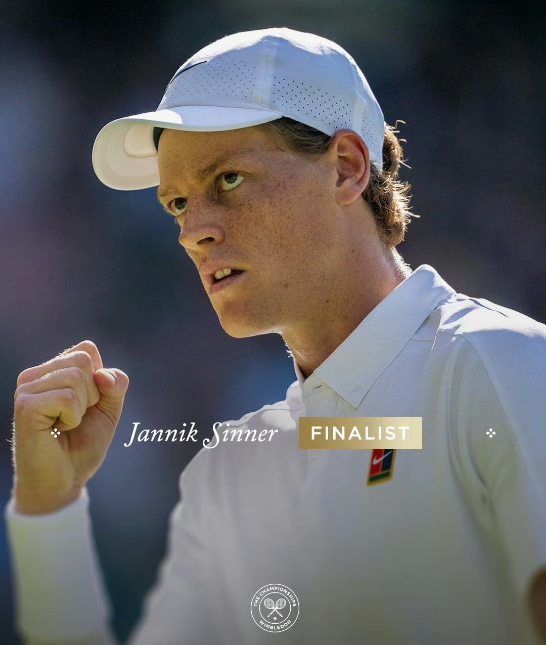 温网碾压戴维斯杯，辛纳扛起全队