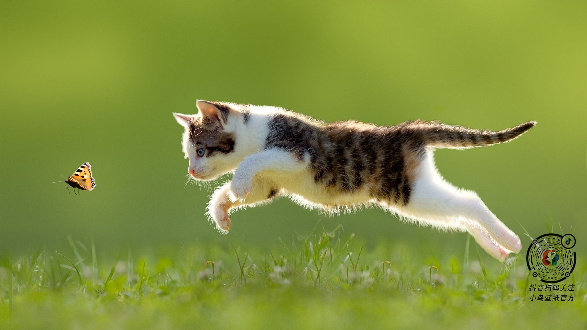 乐高式创新，雷诺如何用模块化心脏绝杀迈凯伦