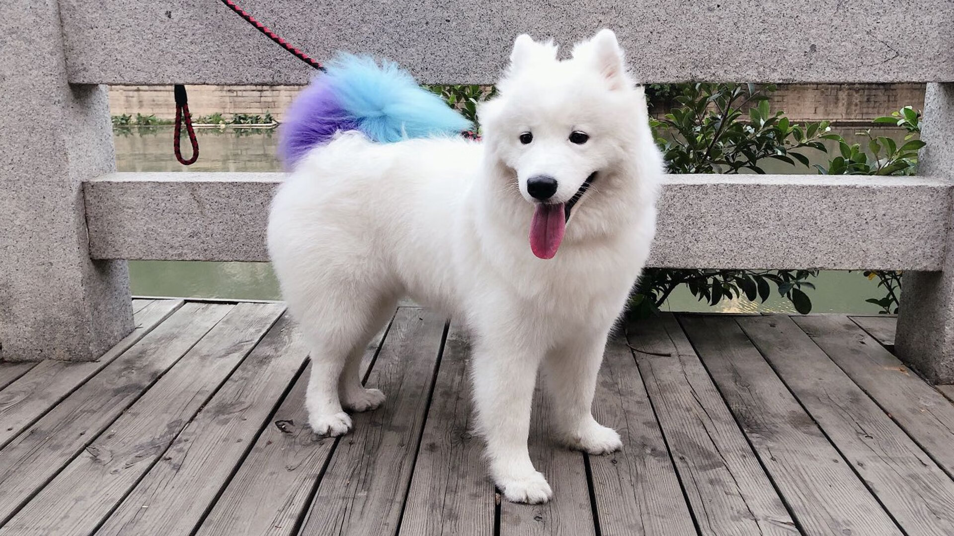 开云体育-唯一瞬间，当德国队逆转印度队，李梓嘉在赛场点燃奇迹