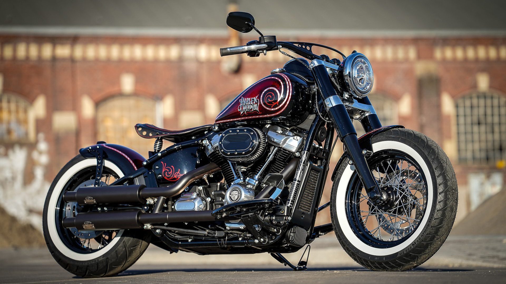 国度之巅，当袋鼠骑士遇见雨林守护者