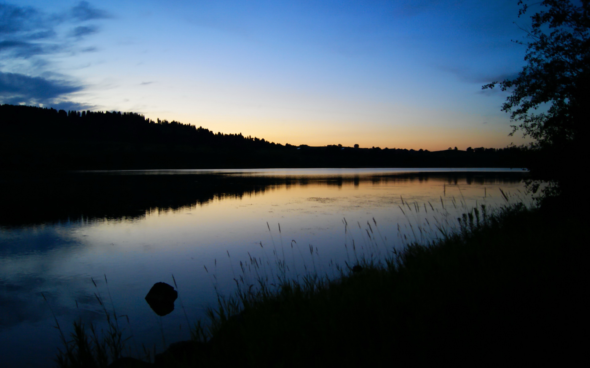 棋盘上的安第斯风暴,秘鲁棋王孔德一着定乾坤,决胜比利时