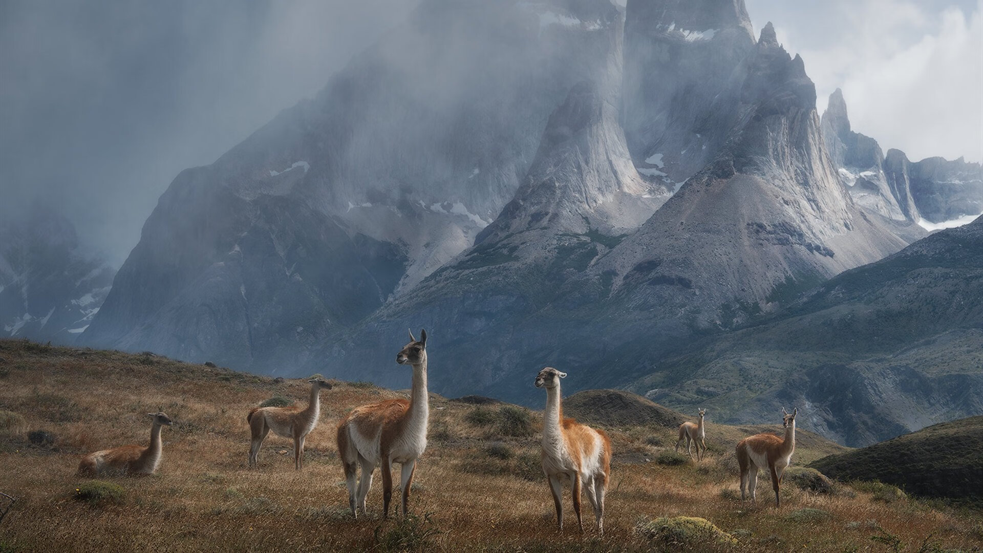 开云体育官网-当恒星升起，平行宇宙中的詹姆斯与太阳照亮丹佛高原