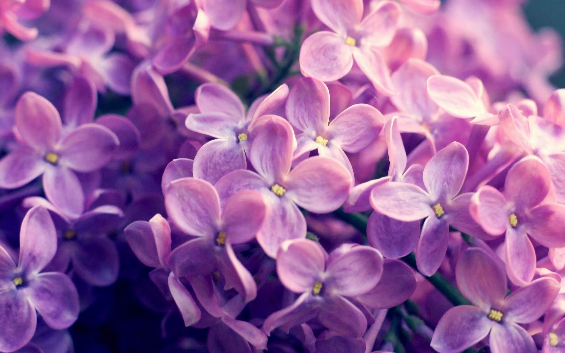 2026世界杯之夜，绿色幽灵的骨架—布雷默如何以沉默的统治力定义防守艺术