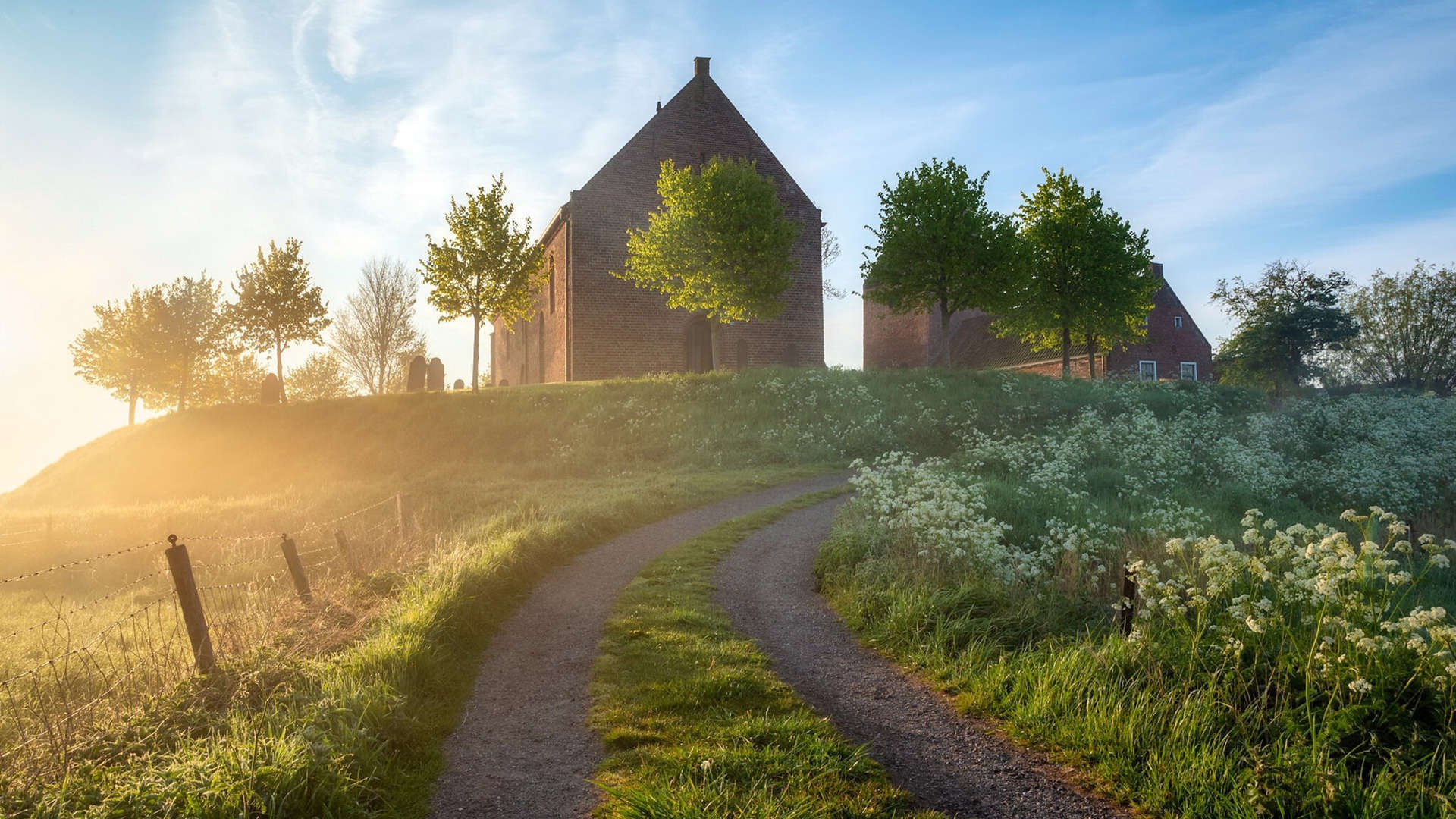 开云体育中国-越级杀人，马刺废墟上盛放的紫玫瑰，拉梅洛·鲍尔的完美个人秀