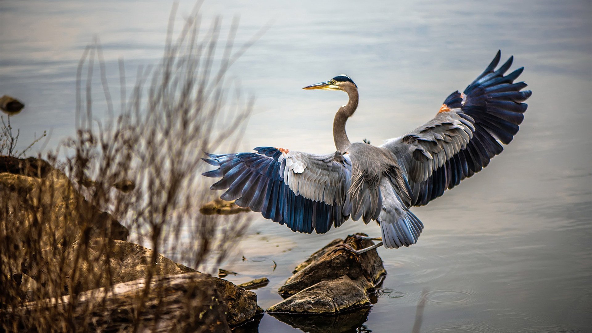 老兵不死！末节15分收割比赛，保罗诠释何为顶级控卫的血液