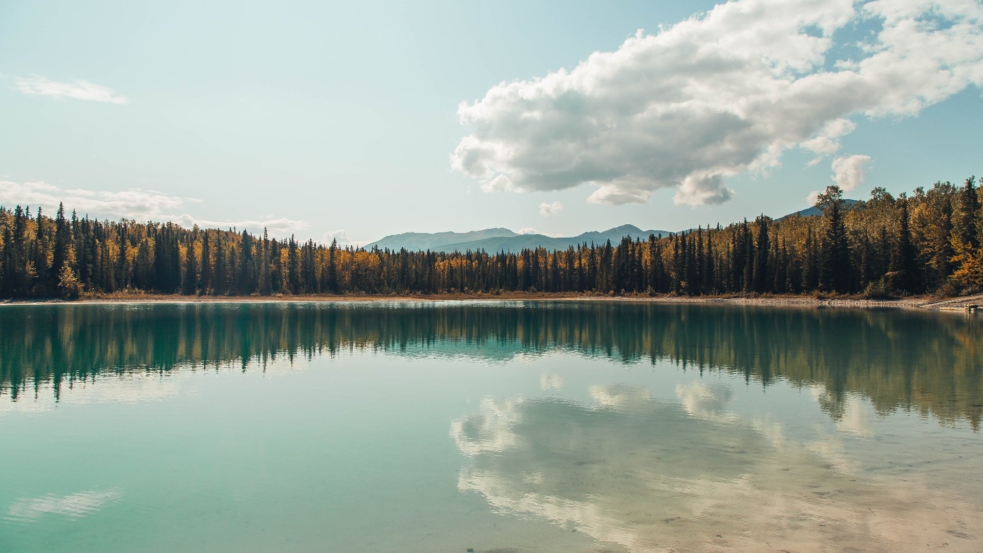 开云体育官网-天使之翼，当迪马利亚的传说照进雷恩逆转之夜