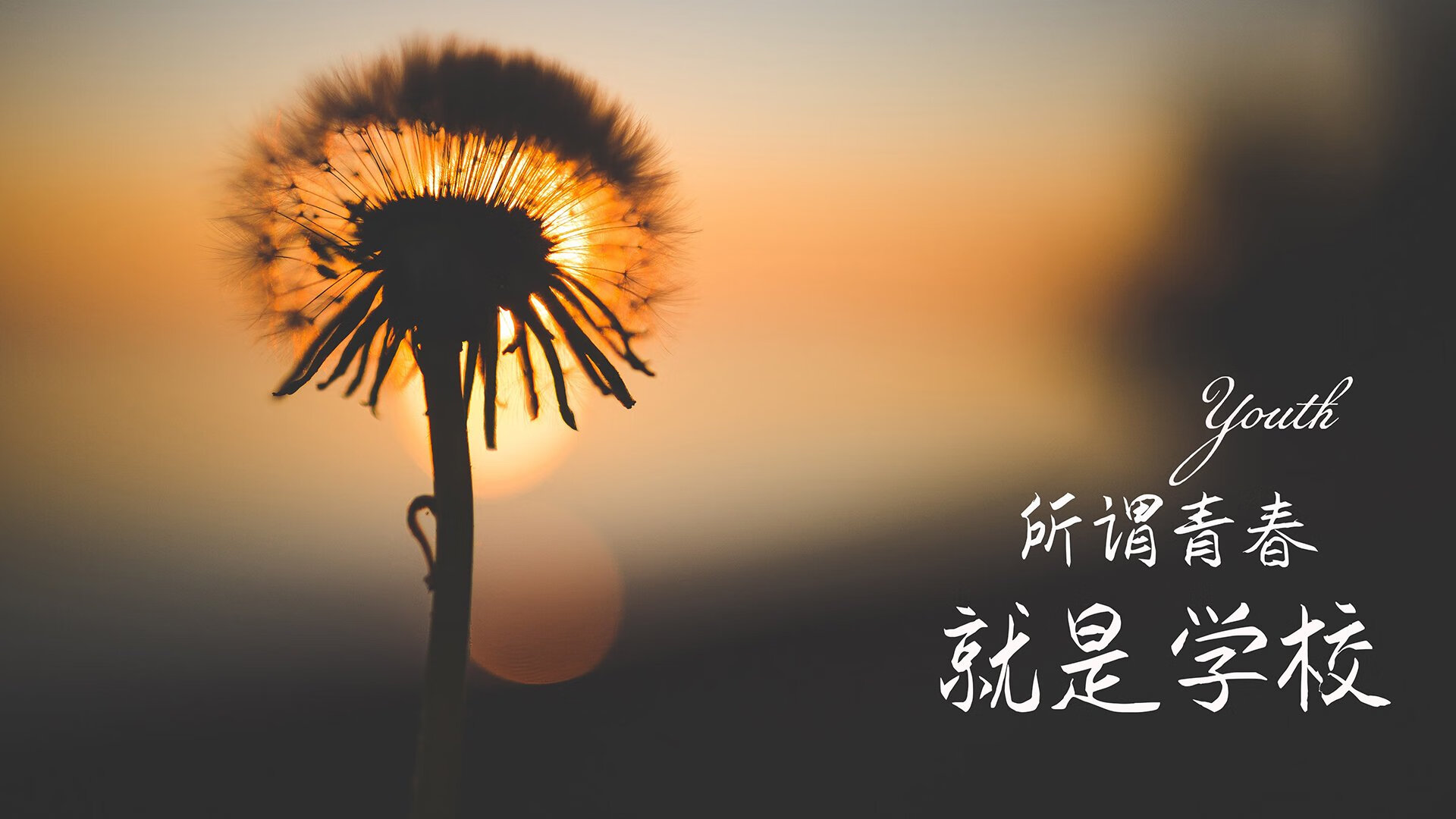 莱万孤星耀世,桑巴铁幕难破,2026世界杯H组焦点战,巴西的压制与波兰的悲壮独舞