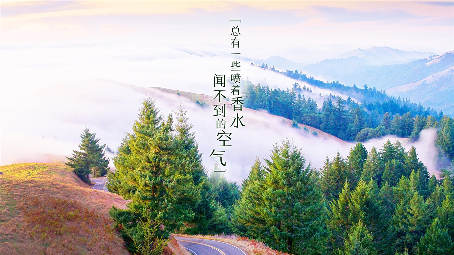 恒河之怒,2026世界杯,印度如何用非主流足球碾压秘鲁,拉什福德演绎王者独裁