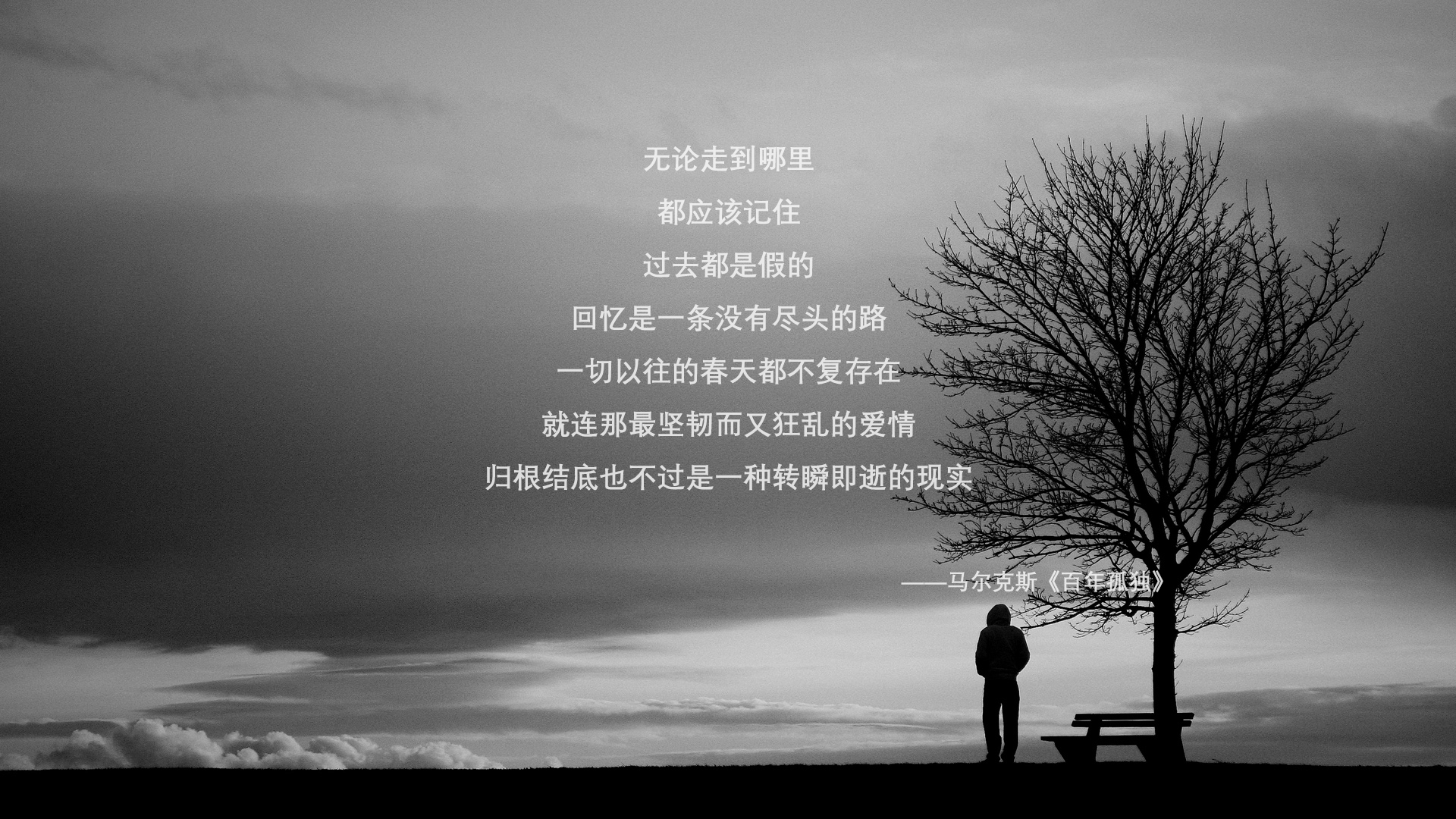 这是一篇为您定制的文章，标题采用了不同的风格（纪实风、抒情风、悬念风）内容则选择了最有戏剧张力的叙事方式